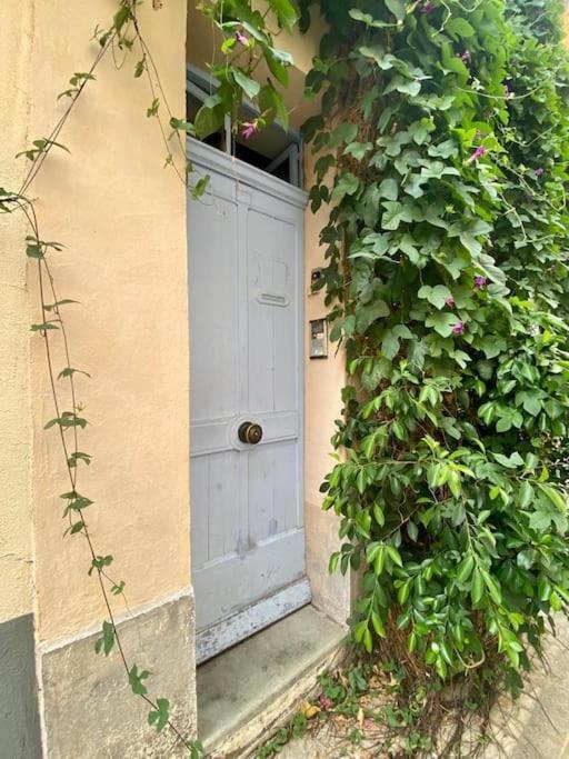 Click! Casa Lamartine Fabulous Ideal Location Walk To All!!! Cassis Exterior foto